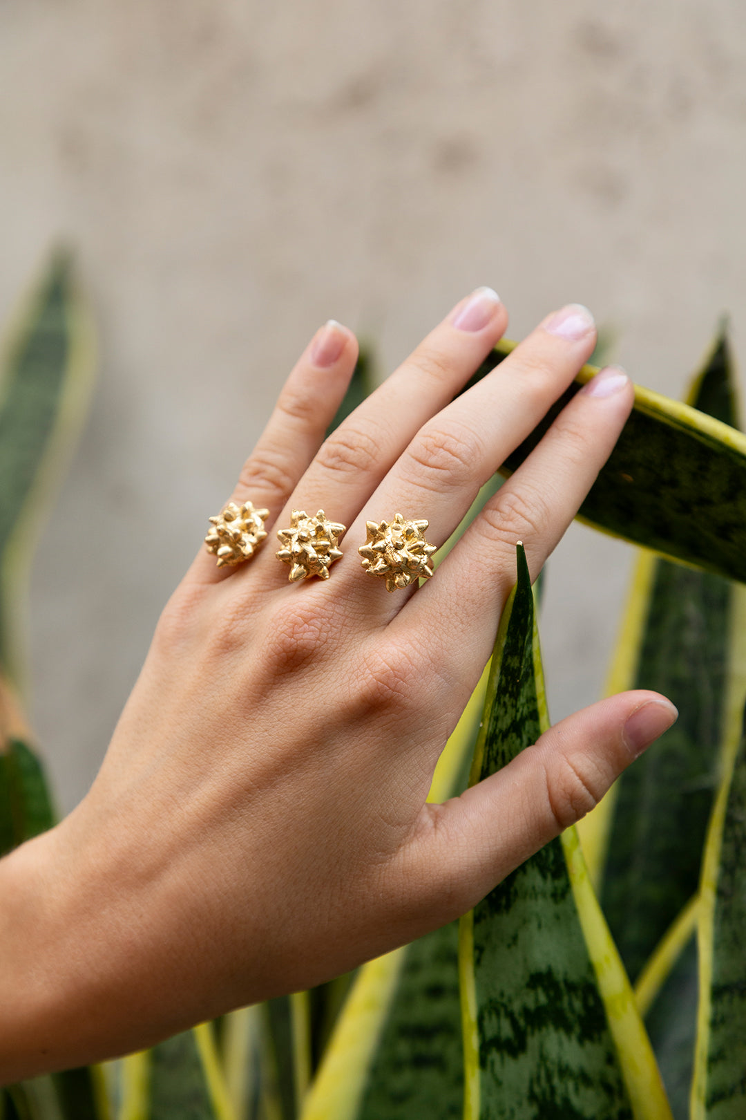 Lisa Ring