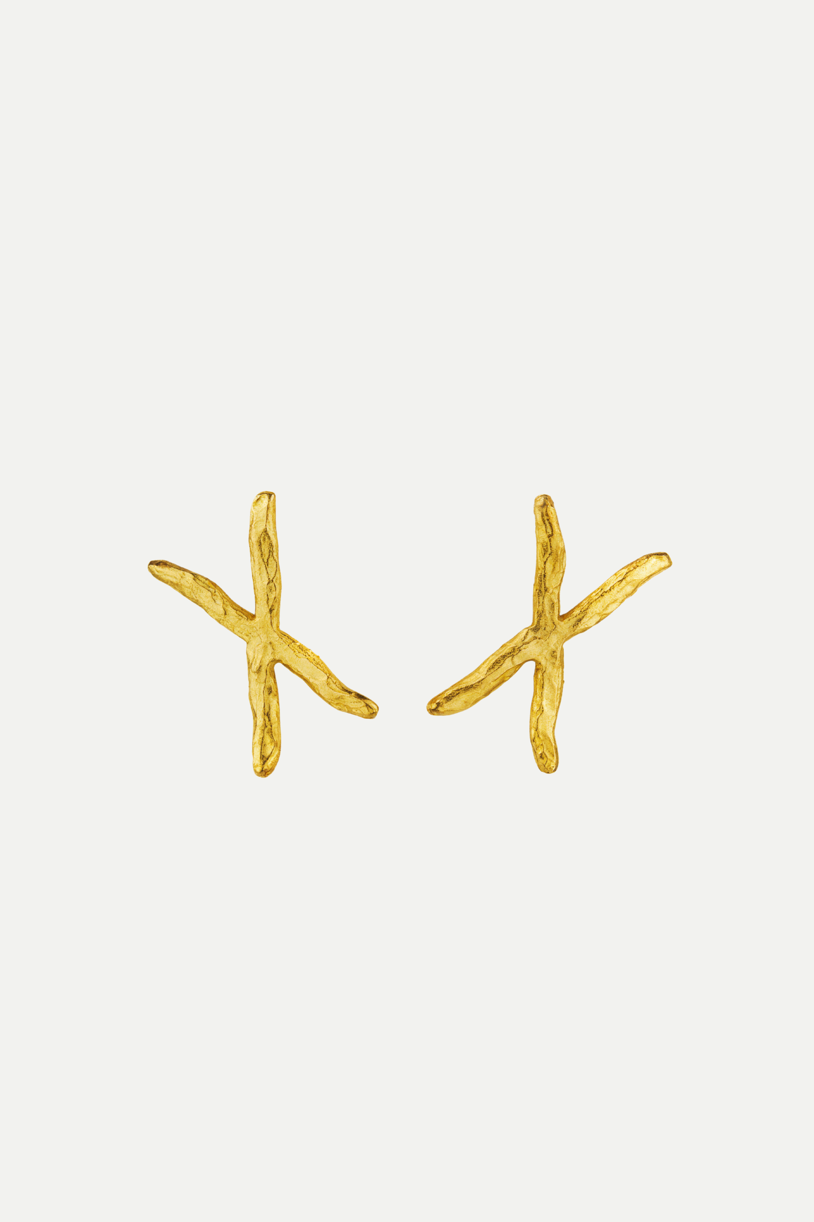 X Earrings